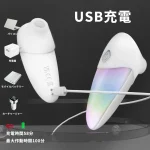 SHD-S525-2ミニバイブ USB充電